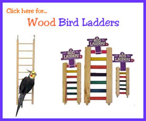 perch factory    fun bird ladder  parrot ladders