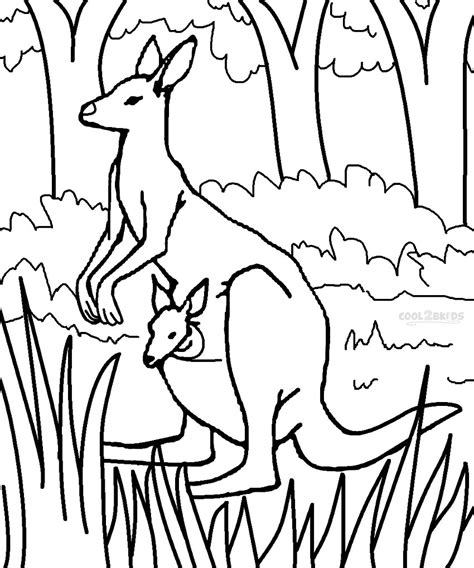 kangaroo coloring pages    print