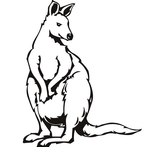 dive  mirthful kangaroo colouring scouring adapt