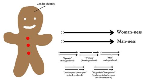 the genderbread person v2 0 its pronounced metroual the genderbread person it s pronounced