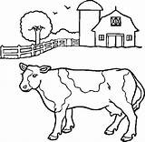 Coloring Cow Cattle Milch sketch template