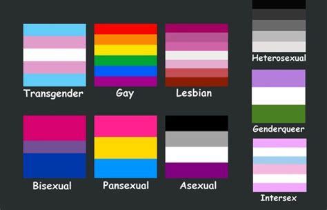 lgbt community lgbtq flags meaning and names pin on lgbt pride flags