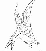 Pterodactyl Coloring Getcolorings Printable Pages sketch template