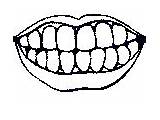 Denti Disegno Coloratutto sketch template