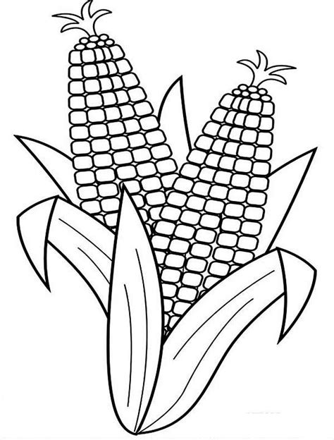 corn harvesting corn coloring page corn drawing vegetable
