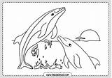 Delfines Dibujo Rincon Rincondibujos Navegación sketch template