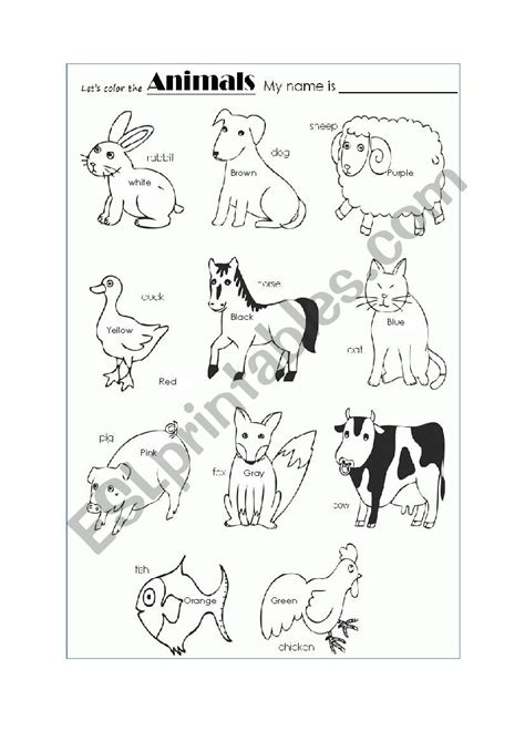 animals worksheet preschool