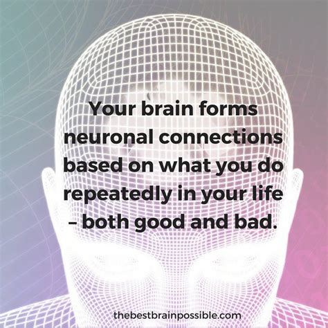 neuroplasticity how your life shapes your brain the best brain