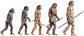 historia geografia formacion ciudadana islgsm  ano los hominidos