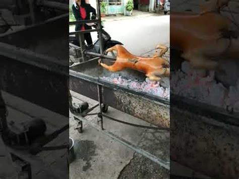 buy dog meat  eat youtube