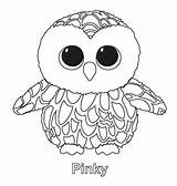 Coloring Beanie Pages Boo Owl Ty Boos Baby Choose Board sketch template