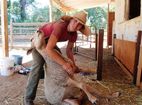 women run meat  op bands ranchers  civil eats