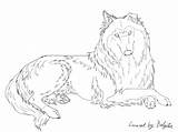 Collie Rough Drawing Lineart Coloring Stock Deviantart Sketch Template License sketch template