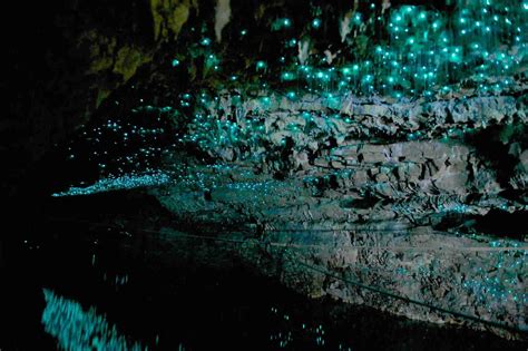 glow worm cave  zealand  ready