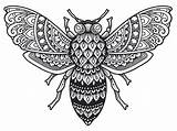 Agressive Prettiest Bees Richwald sketch template