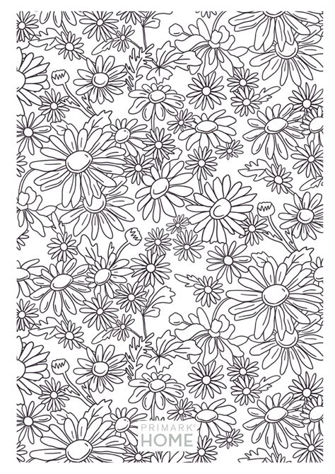 mindfulness colouring mindfulness colouring mindfulness coloring