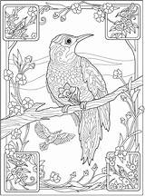 Coloring Pages Book Doverpublications Publications Dover Colorir Livro Para Printable Bird Adult Welcome Escolha Pasta sketch template