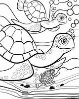 Colouring Kids Pages Coloring Printable Summer Long Turtle Fun Sheets Print Days Sea Scentos Animal Turtles Cute Pauletpaula Underwater Younger sketch template