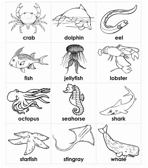 coloring pages sea animals  animal coloring coloring pages sea