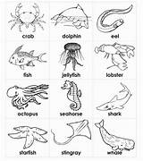 Pages Worksheets Tracing Sheets Creature Scegli Bacheca sketch template