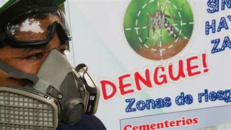 oms el dengue es mucho más peligroso para los humanos que el virus