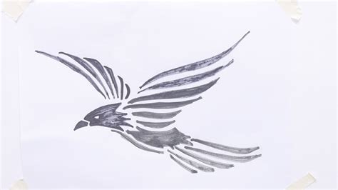 flying bird drawing pencil sketch colorful realistic art images