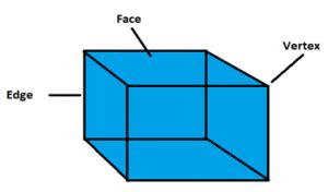 faces edges  vertices properties   shapes maths