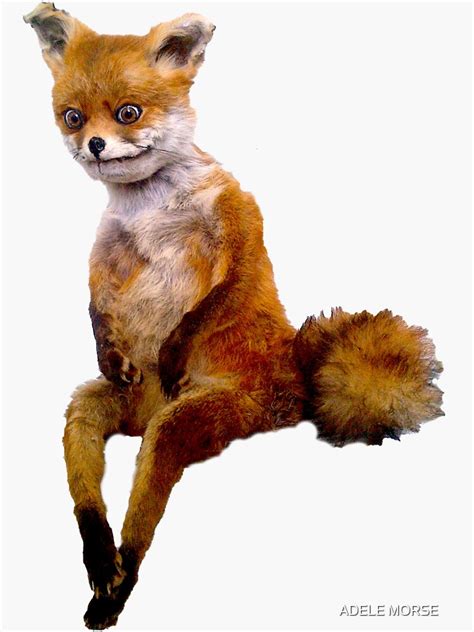 stoned fox  taxidermy fox meme sticker  sale  adelemorse