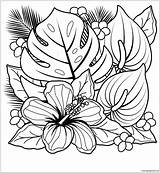 Hibiscus Coloring Pages Plants Tropical Flowers Color Outline Flower Adults Kids Plumeria Vector Clipartmag Getdrawings Print sketch template