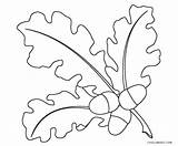 Leaf Pages Coloring Printable Cool2bkids Kids sketch template