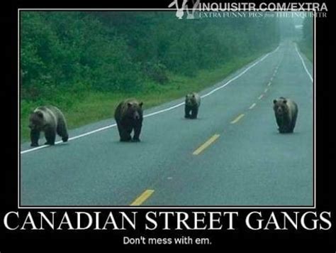 funny canadian pictures only in canada funny indian pictures gallery funnyindianpicz