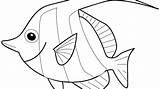 Blowfish Coloring Getdrawings Drawing Fish Cartoon sketch template