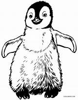 Penguin Rockhopper Chinstrap Cool2bkids Designlooter Getcolorings sketch template