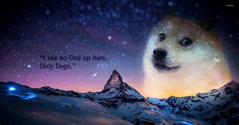 doge dog  playing game    wallpaper  collection   top  doge