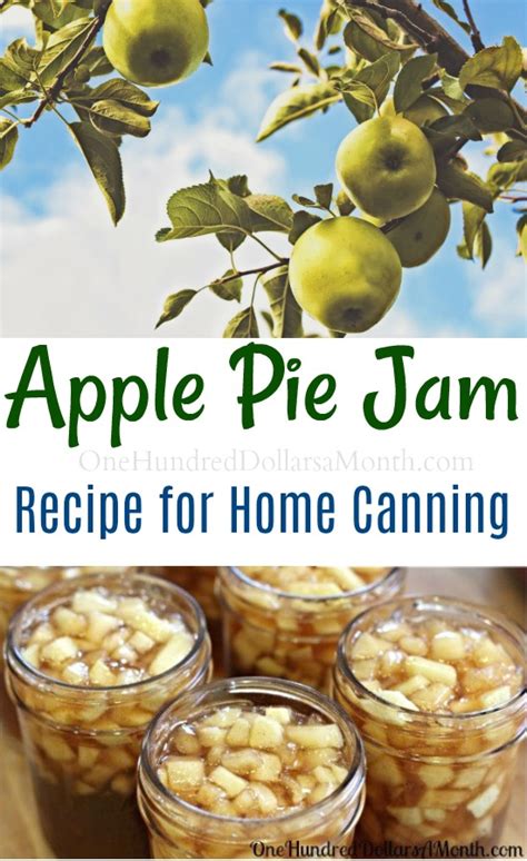 canning  apple pie jam recipe   dollars  month