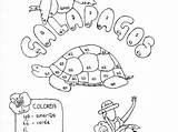 Conjugation Color Verb Spanish Practice Galapagos Prep Ar Different Does Why Look sketch template