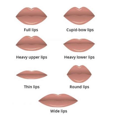 hey divas time to chime in what kind of lips do you have or what