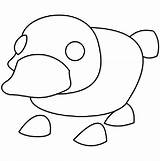 Adopt Platypus sketch template