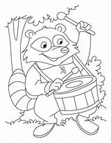 Coloring Raccoon Pages Drum Baby Kids Racoon Drums Drawing Beater Color Drummer Library Clipart Printable Ng Tr Danh Con Getdrawings sketch template