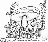 Coloring Mushroom Pages Trippy Magic Mushrooms Drawing Colouring Printable Alice Sheets Voor Afbeeldingsresultaat Adult Psychedelic Drawings Getcolorings Wonderland Forest Color sketch template