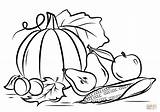Coloring Harvest Pages Autumn Printable Drawing sketch template