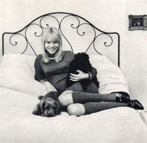 France Gall France Gall Over The Knee Socks France