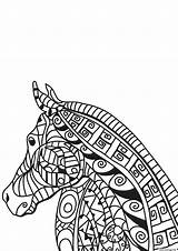 Cheval Zentangle Adulte sketch template