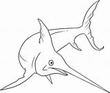 Swordfish Creature Animals Colouring Coloringbay Dragoart Coloringhome sketch template