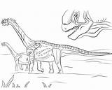 Jurassic Park Coloring Pages Suchomimus Printable Camarasaurus Gallimimus Dinosaurs Coloringpagesonly sketch template