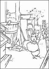 Peter Rabbit Coloring Pages Book Kids Movie Coloriage Fun Info Trailers Site Index Coloring2print sketch template