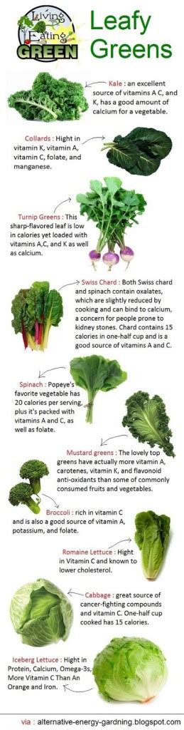 lesson  leafy greens solutions  living