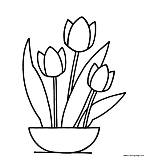 tulip flower coloring page printable