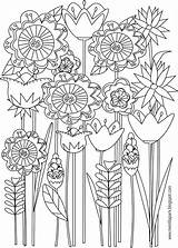Coloring Printable Floral Pages Colouring Flower Spring Flowers Sheets Adult Adults Book Print Meinlilapark Color Ausmalbilder Kids Ausdruckbare Printables Freebie sketch template
