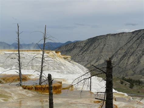 Yellowstone National Park Wy Mammoth Hot Springs In Yellowstone